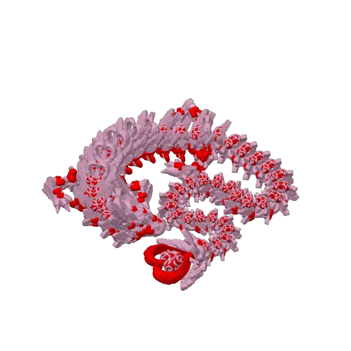 Heart Dragon Limited Release V1 (2024) (CW3D)