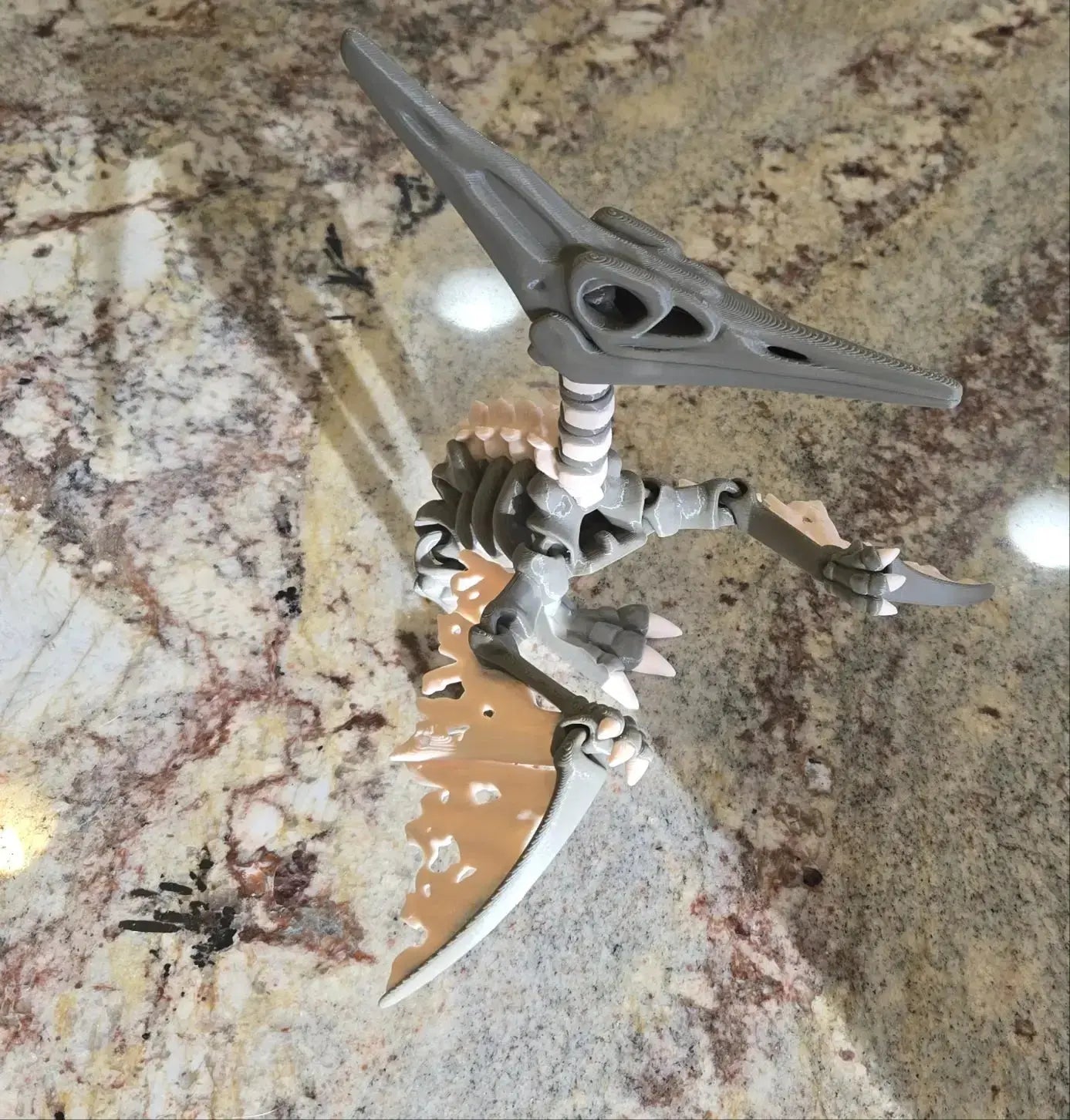 Articulated Skeleton Pterodactyl (Teen)
