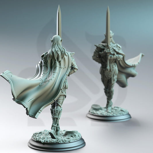 3D Printed Fey Elf Duelist by DM Stash