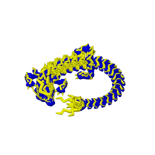 Storm Dragon (CW3D)