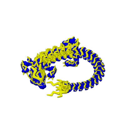 Storm Dragon (CW3D)