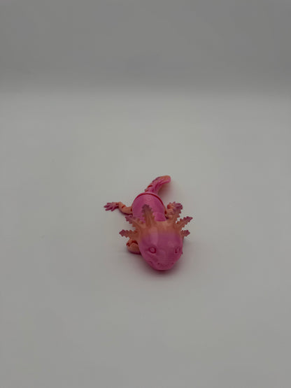 Axolotl