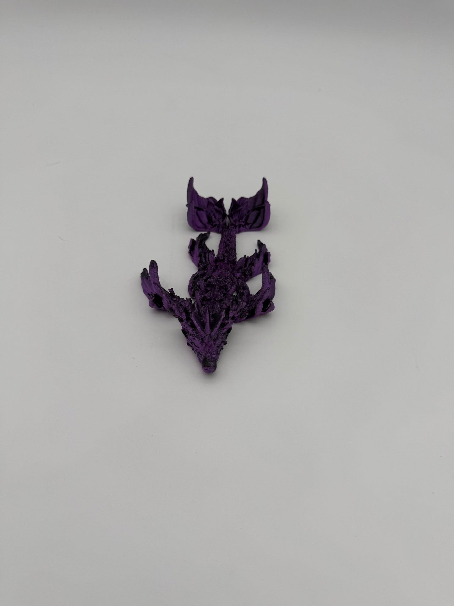 Coral Dragon