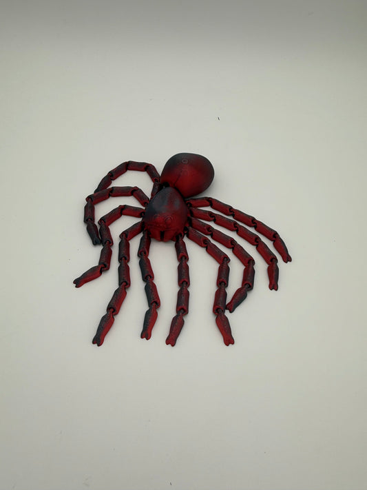 Spider