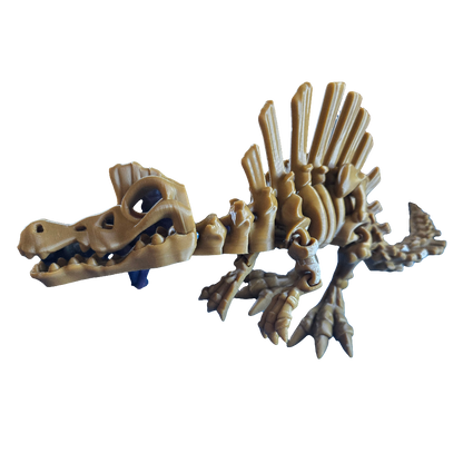 Spinosaurus Skeleton Dinosaur