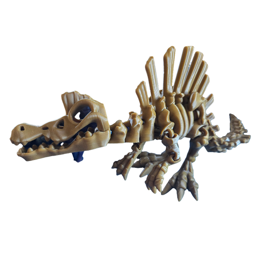 Spinosaurus Skeleton Dinosaur