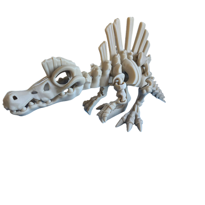 Spinosaurus Skeleton Dinosaur
