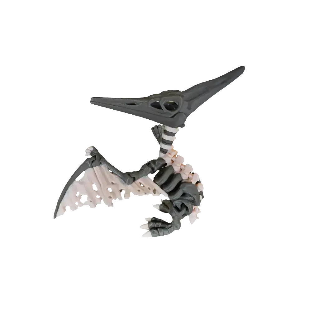 Articulated Skeleton Pterodactyl (Adult)