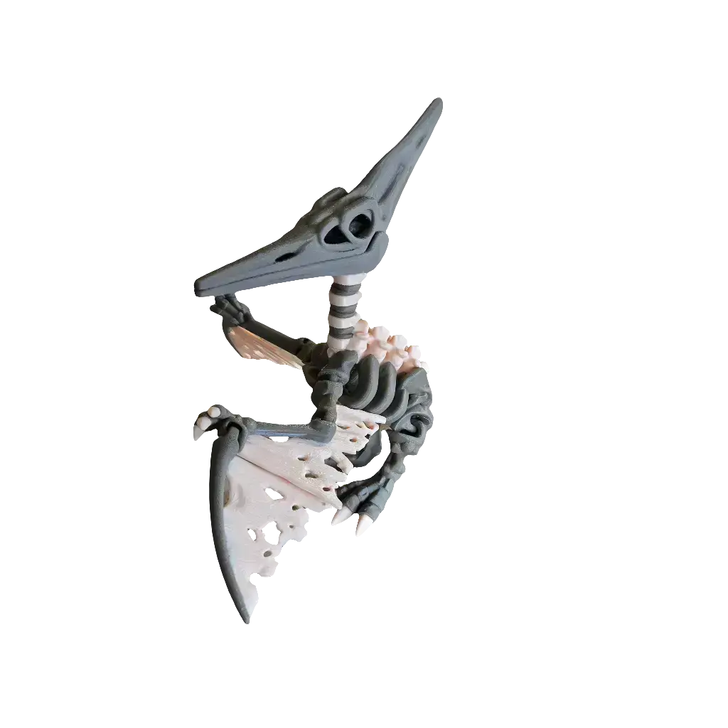 Articulated Skeleton Pterodactyl (XL Adult)