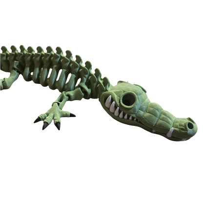 3-Color Skeleton Crocodile (Articulated) (Adult)