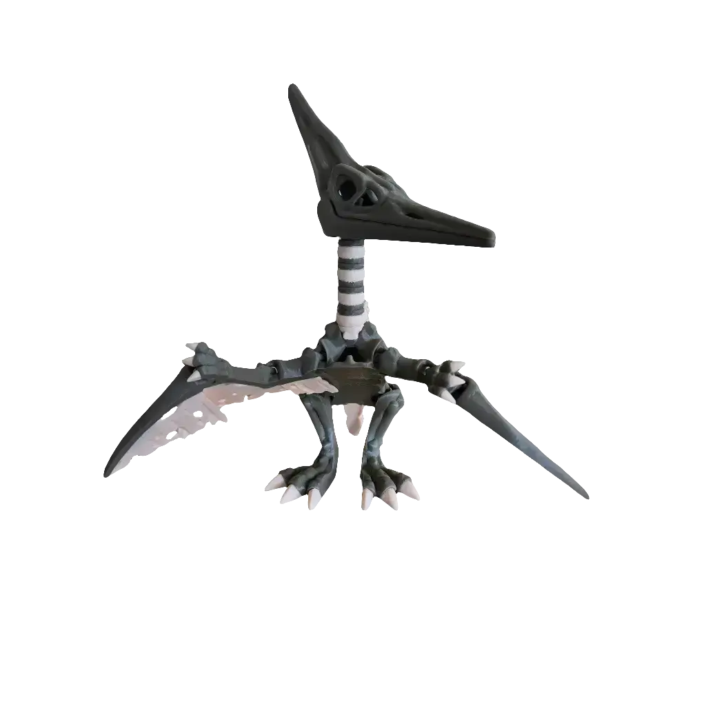 Articulated Skeleton Pterodactyl (Teen)