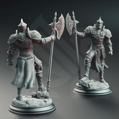 3D Printed Knight of the Tower by DM Stash