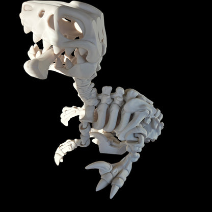 XXL Raptor With Articulation and Moveable head with removable bone